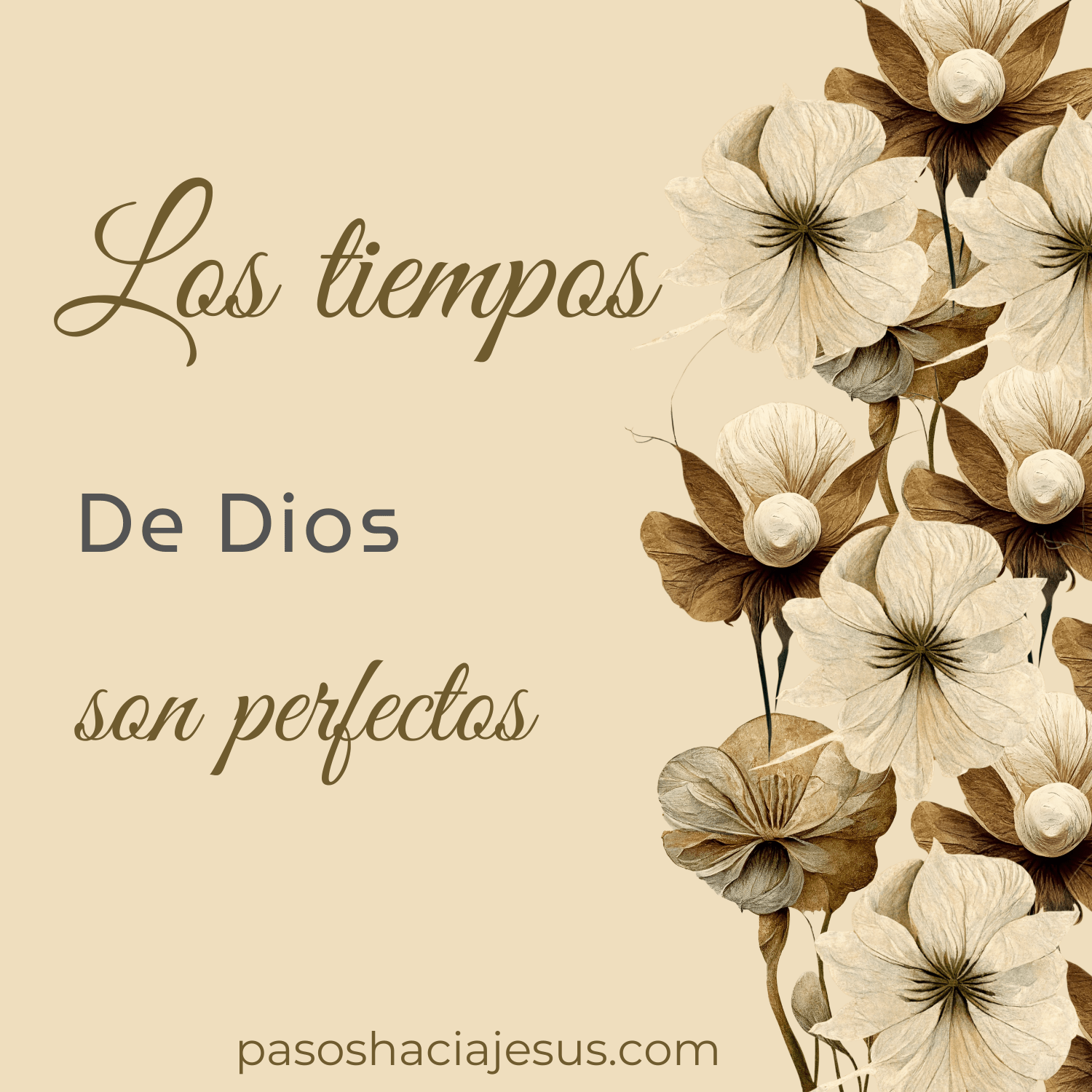 El tiempo de Dios