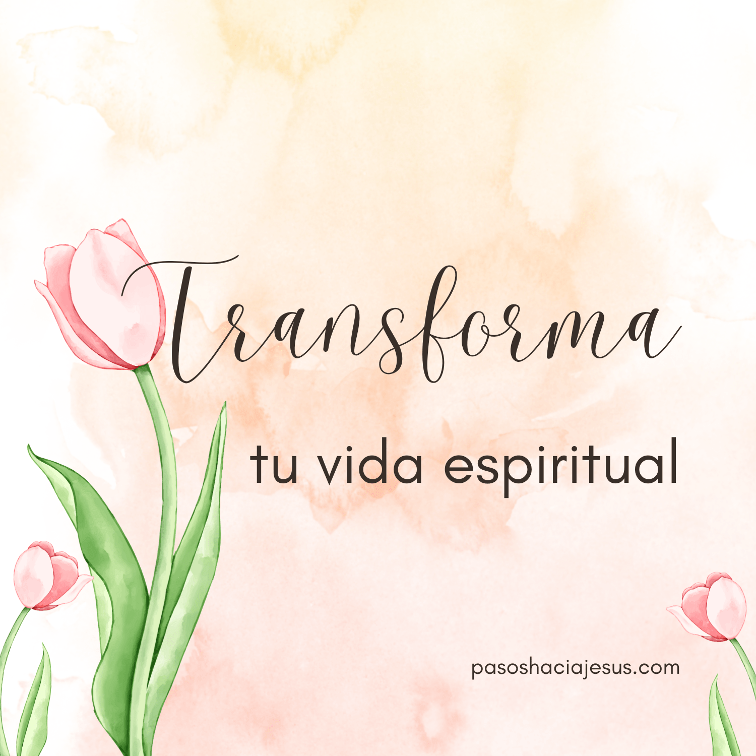 Transforma tu vida espiritual